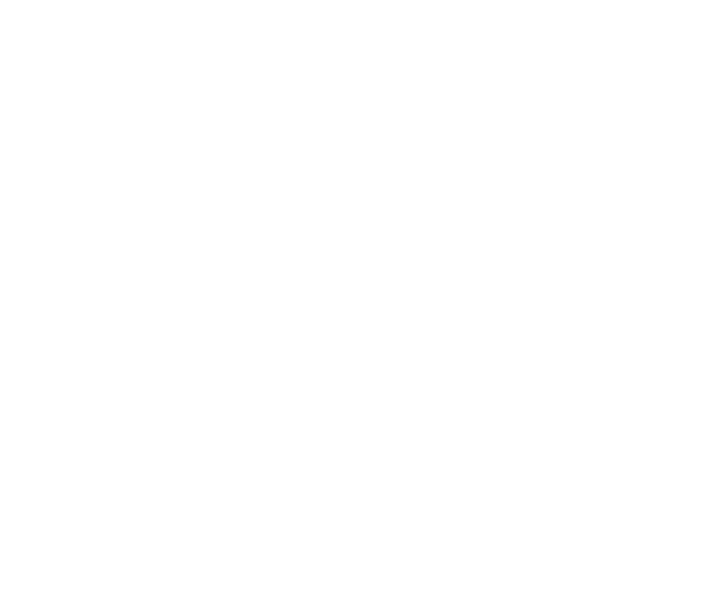 Хроники русской революции Хроники русской революции