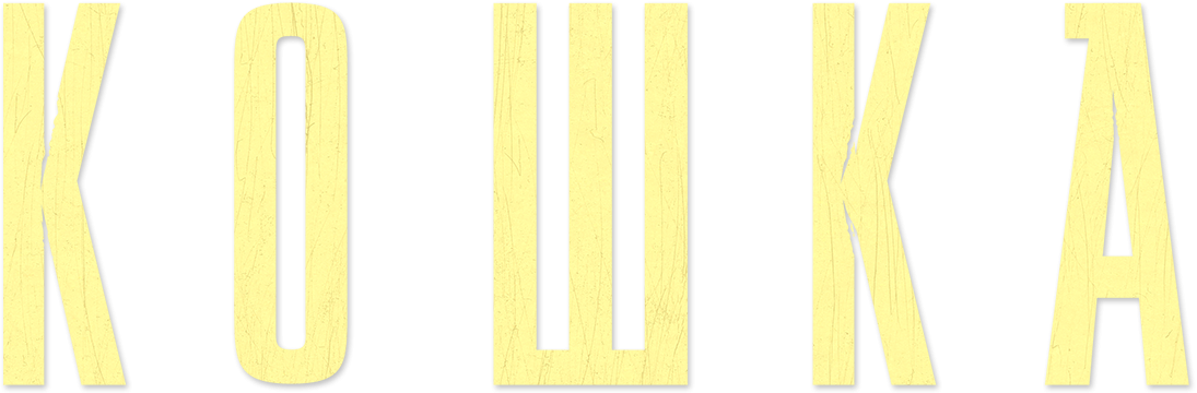 Кошка Кошка