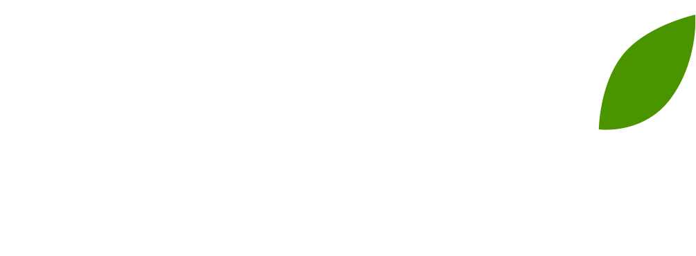 Последний из Магикян